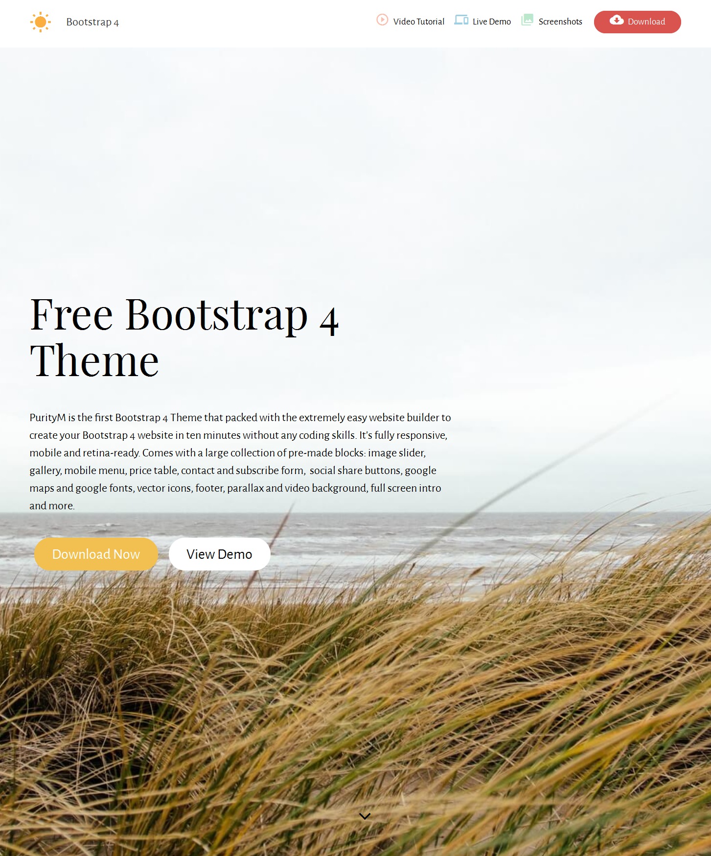 Mobile Bootstrap Website Theme